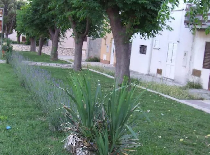 Ferienhaus Kuca Za Odmor Matko House Matko *